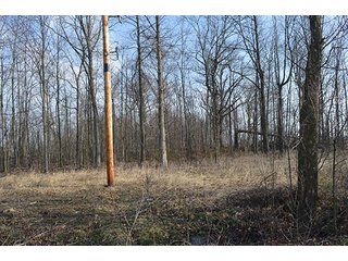 Property photo 1 - 77 +/- Acres Offered in 6 Tracts - Premier Estate Auction